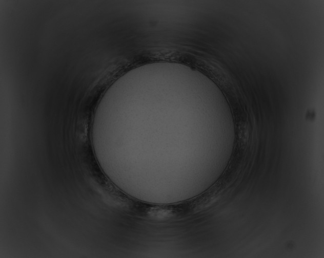 X0000091860602200710031042