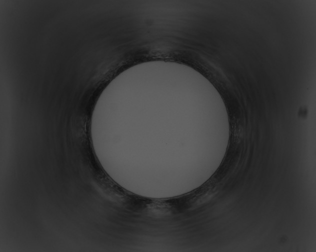 X0000091860603200710031042