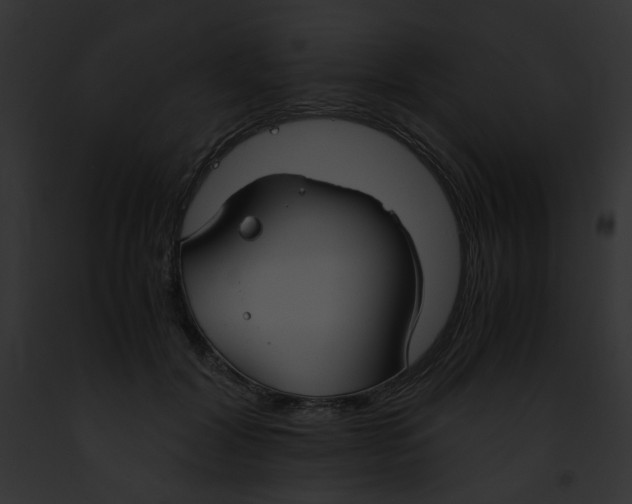 X0000091860604200710031042