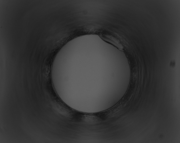 X0000091860605200710031042