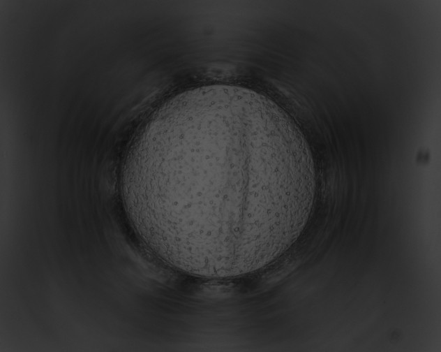 X0000091860606200710031041