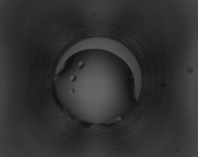 X0000091860608200710031041