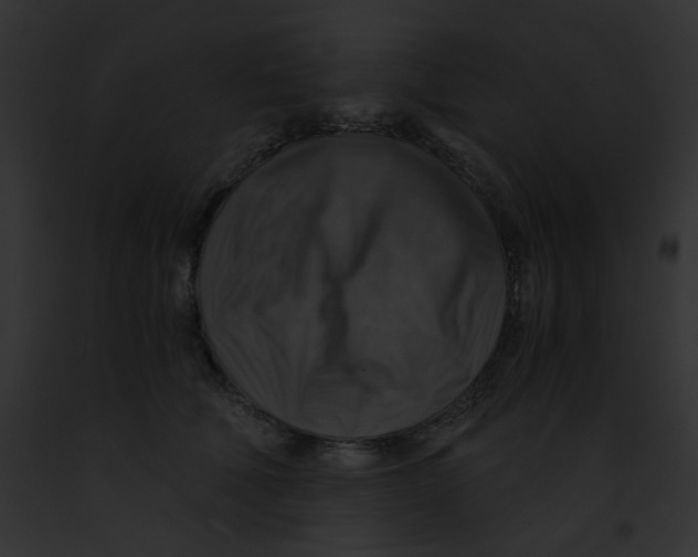 X0000091860610200710031041