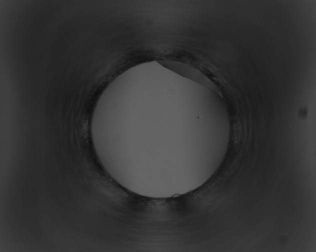 X0000091860613200710031041