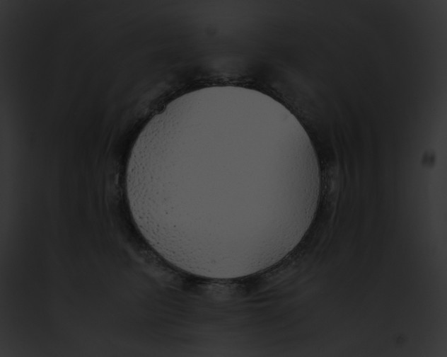 X0000091860615200710031041