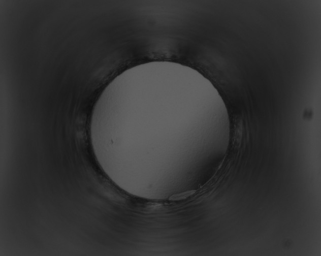 X0000091860616200710031041