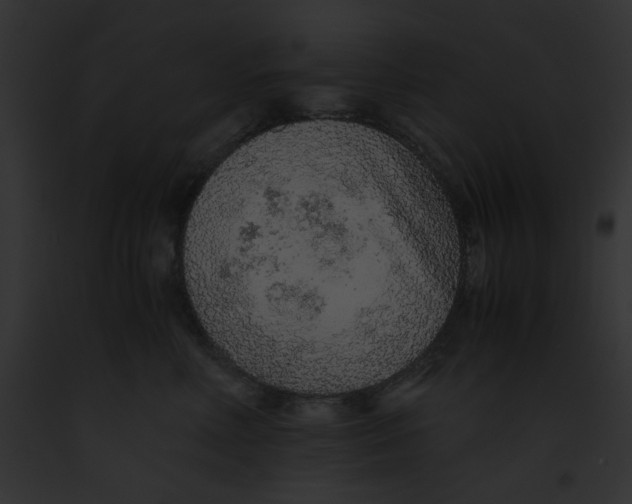 X0000091860618200710031041