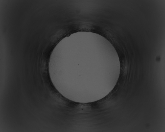 X0000091860619200710031041