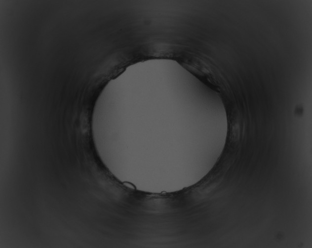 X0000091860620200710031041