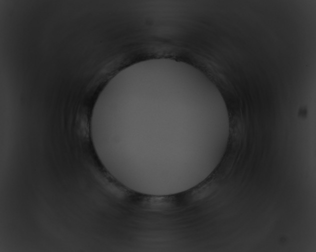 X0000091860622200710031041