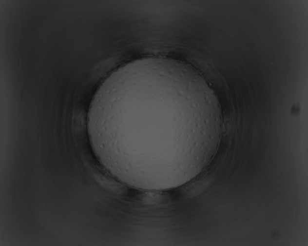 X0000091860623200710031041