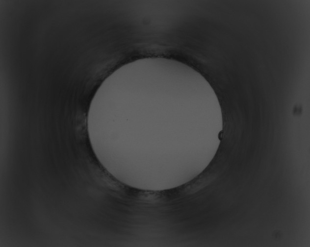 X0000091860624200710031041