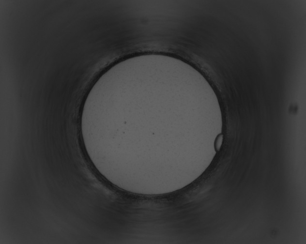 X0000091860625200710031041