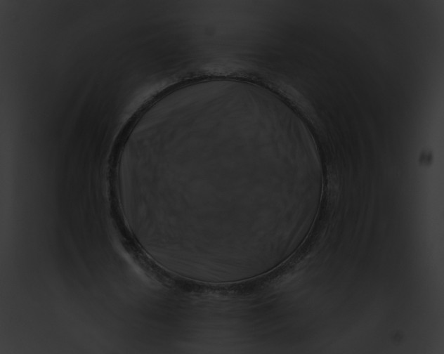 X0000091860626200710031041