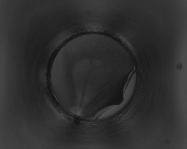 X0000091860627200710031041