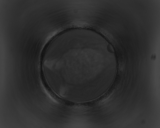 X0000091860630200710031041