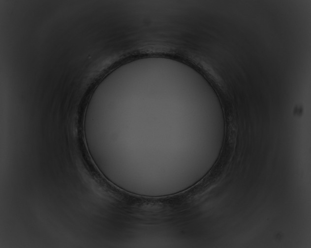 X0000091860631200710031041