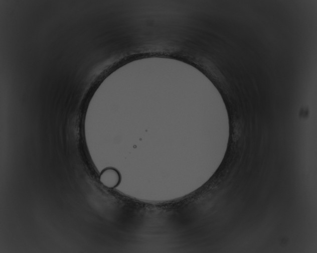 X0000091860632200710031041