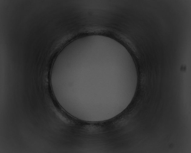 X0000091860633200710031041