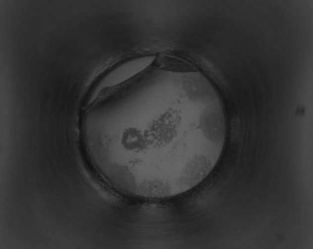 X0000091860634200710031041