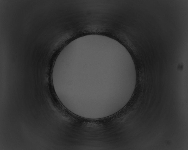 X0000091860635200710031041