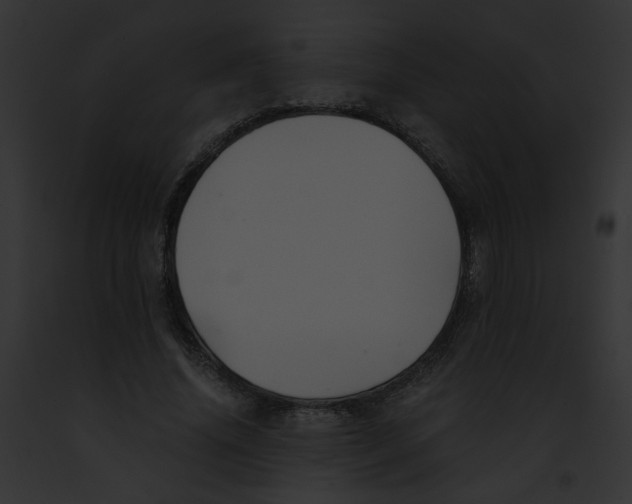 X0000091860636200710031041