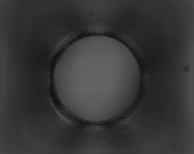 X0000091860638200710031041