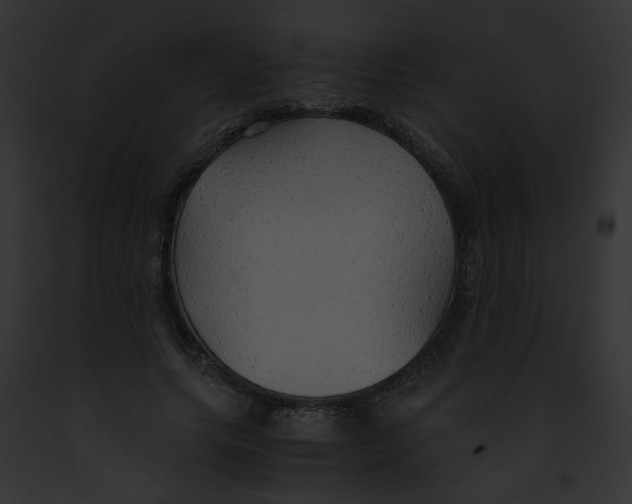 X0000091860639200710031041