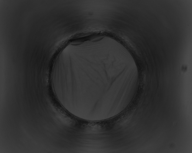 X0000091860640200710031041