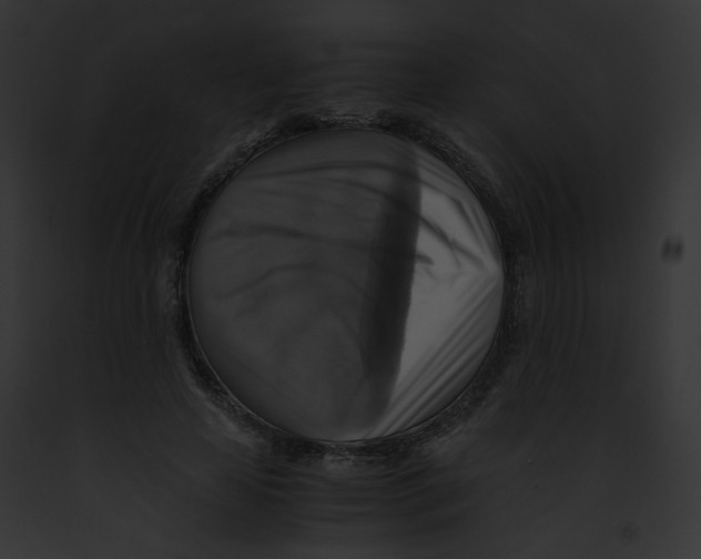 X0000091860641200710031041