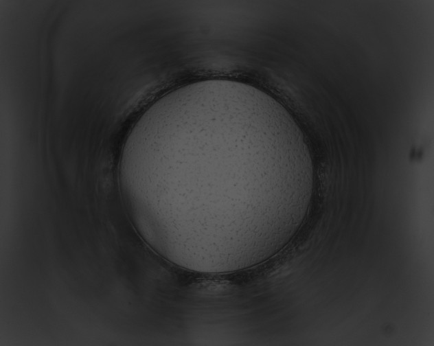 X0000091860642200710031041