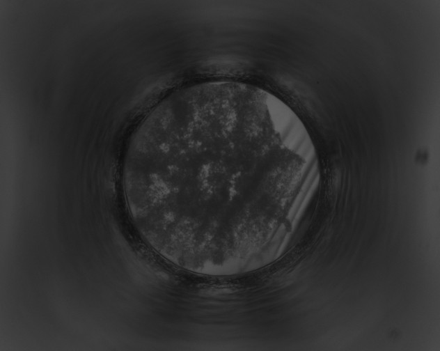 X0000091860643200710031041