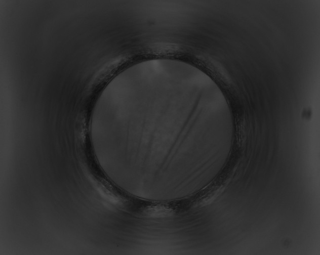 X0000091860644200710031041