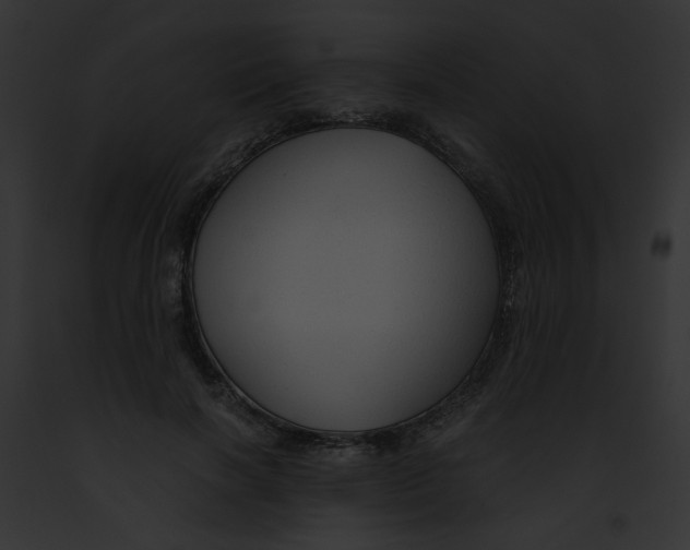 X0000091860646200710031041