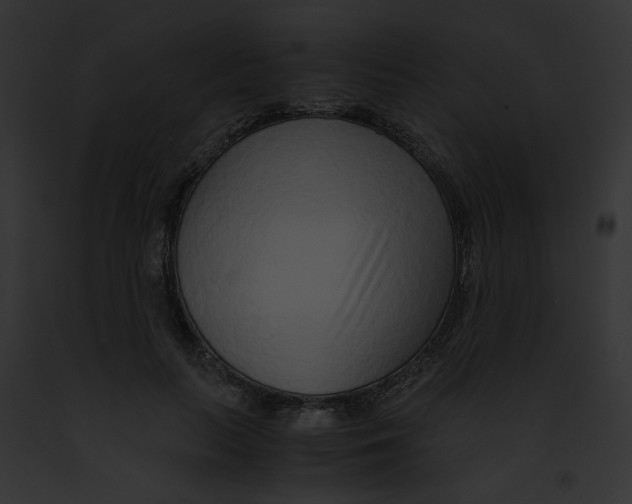 X0000091860647200710031041