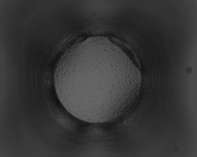 X0000091860648200710031041