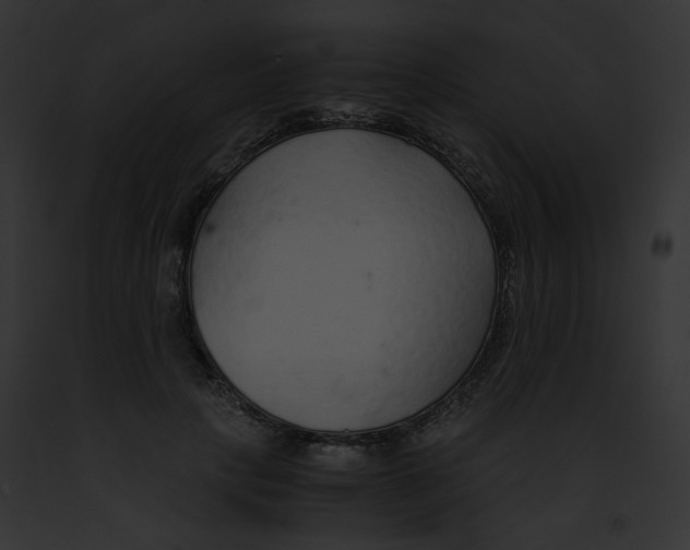 X0000091860649200710031041