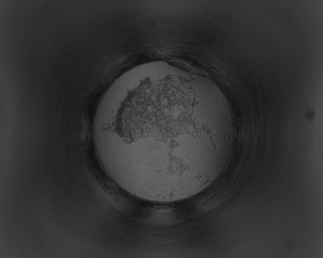 X0000091860651200710031041