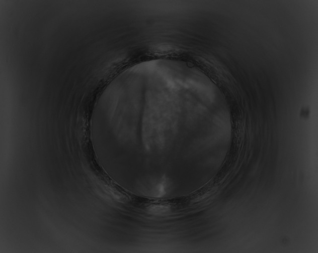 X0000091860653200710031041