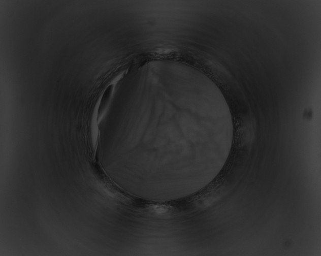 X0000091860654200710031041