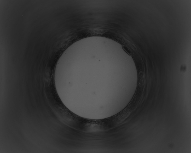 X0000091860655200710031041