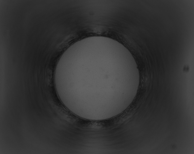 X0000091860656200710031041