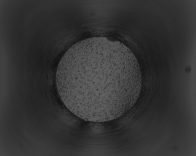 X0000091860658200710031041