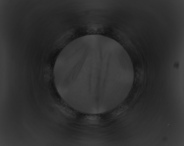 X0000091860659200710031041