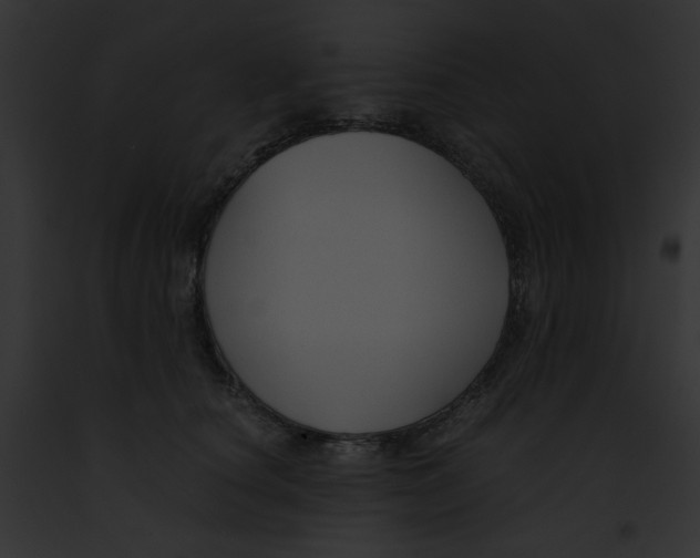 X0000091860660200710031041