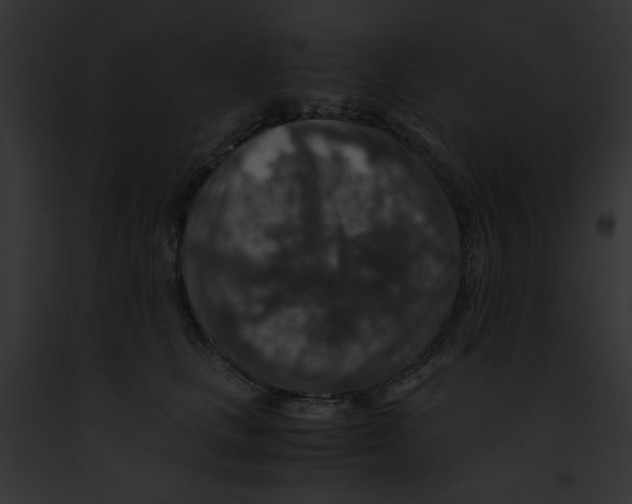 X0000091860661200710031041