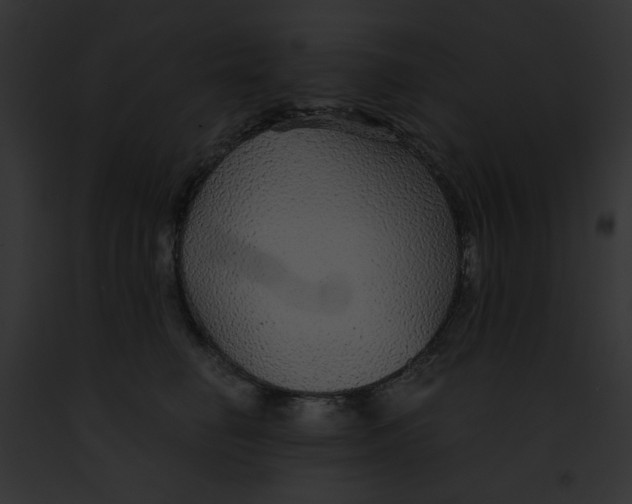 X0000091860662200710031041