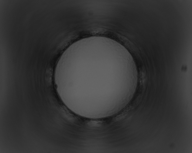 X0000091860664200710031041