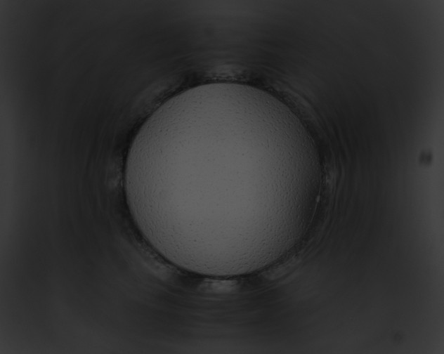 X0000091860665200710031041