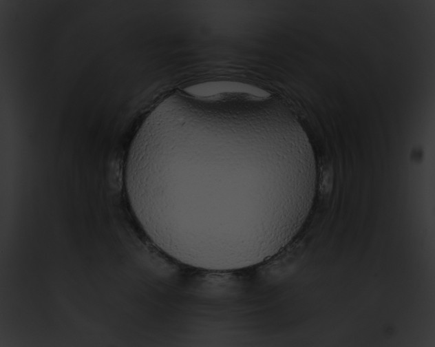 X0000091860666200710031041